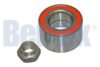 VW 171407625 Wheel Bearing Kit